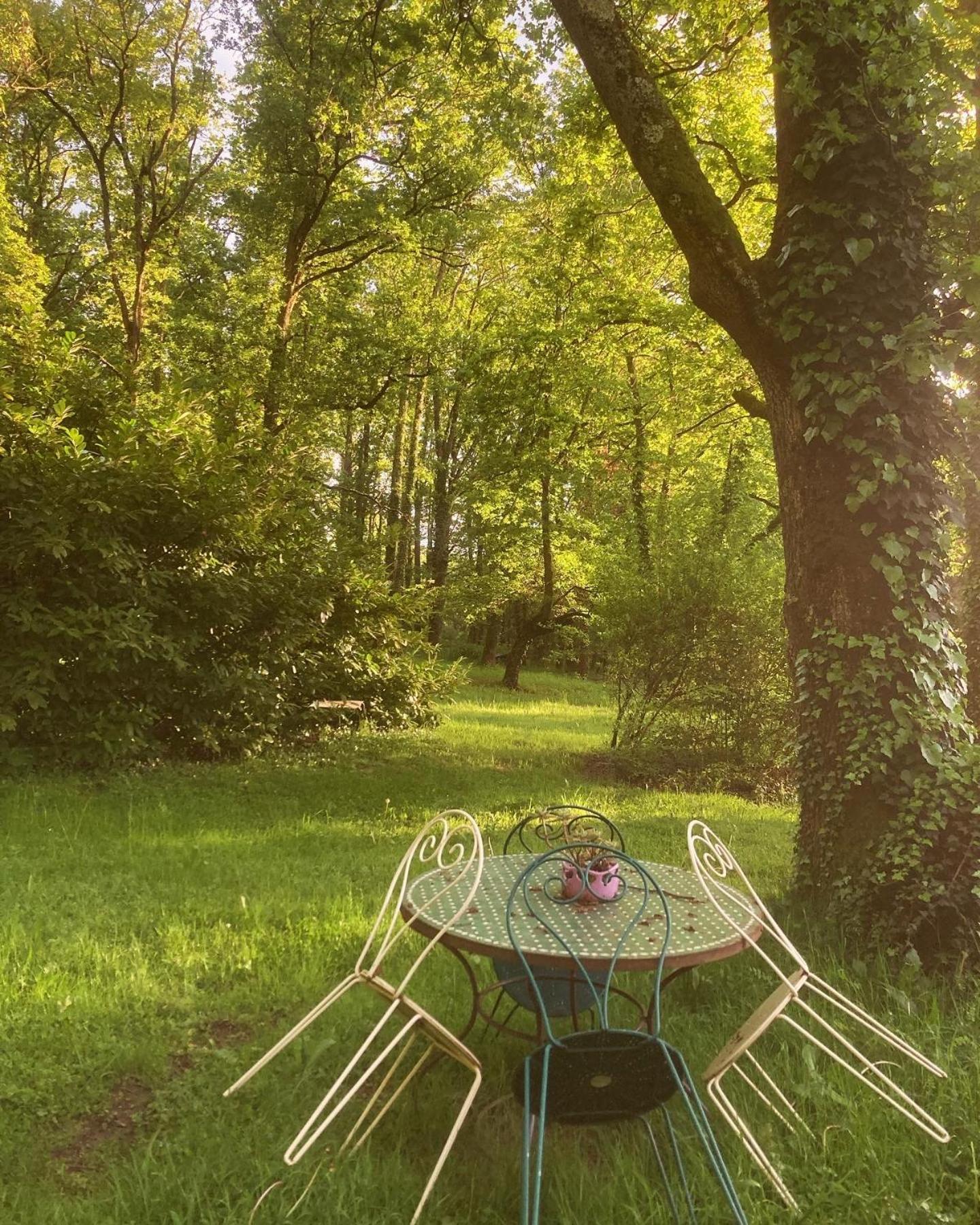 Les Bois De Ravel Chambres D'Hotes 外观 照片